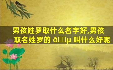 男孩姓罗取什么名字好,男孩取名姓罗的 🐵 叫什么好呢